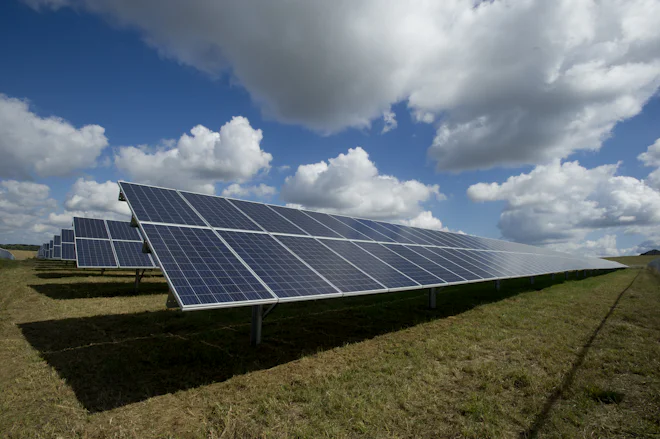 Fileiras de painéis solares instalados em solo, em área rural com pasto